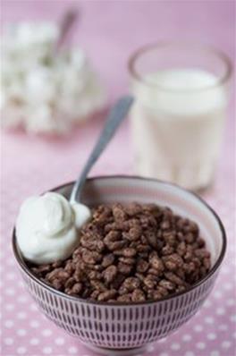  Muesli Chocolat BIO Pharmapar "Nouvelle recette"